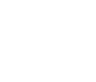 Vector
